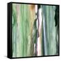 Spring Green Splash B-Tracy Hiner-Framed Stretched Canvas