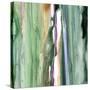 Spring Green Splash B-Tracy Hiner-Stretched Canvas