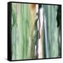 Spring Green Splash B-Tracy Hiner-Framed Stretched Canvas