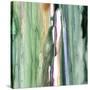 Spring Green Splash B-Tracy Hiner-Stretched Canvas