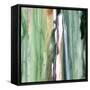 Spring Green Splash B-Tracy Hiner-Framed Stretched Canvas