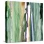 Spring Green Splash B-Tracy Hiner-Stretched Canvas