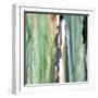 Spring Green Splash B-Tracy Hiner-Framed Giclee Print