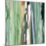 Spring Green Splash B-Tracy Hiner-Mounted Giclee Print