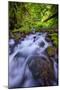 Spring Green Within the Columbia River Gorge, Oregon-Vincent James-Mounted Photographic Print