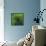 Spring Green-Ursula Abresch-Framed Stretched Canvas displayed on a wall