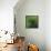 Spring Green-Ursula Abresch-Framed Stretched Canvas displayed on a wall