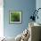 Spring Green-Ursula Abresch-Framed Photographic Print displayed on a wall