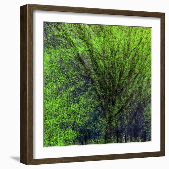 Spring Green-Ursula Abresch-Framed Photographic Print