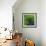Spring Green-Ursula Abresch-Framed Photographic Print displayed on a wall