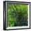 Spring Green-Ursula Abresch-Framed Photographic Print