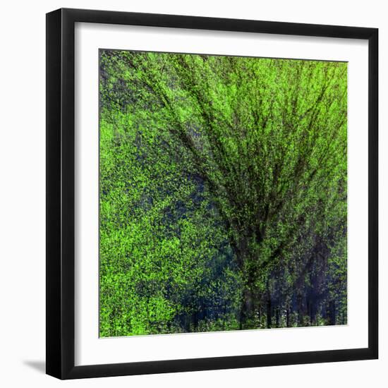 Spring Green-Ursula Abresch-Framed Photographic Print