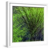 Spring Green-Ursula Abresch-Framed Photographic Print