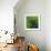 Spring Green-Ursula Abresch-Framed Photographic Print displayed on a wall