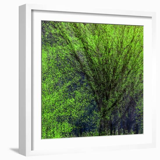 Spring Green-Ursula Abresch-Framed Photographic Print