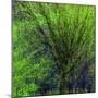 Spring Green-Ursula Abresch-Mounted Photographic Print