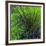 Spring Green-Ursula Abresch-Framed Photographic Print