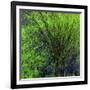 Spring Green-Ursula Abresch-Framed Photographic Print