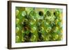 Spring Green-Scott J. Davis-Framed Giclee Print