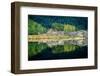 Spring Greens-Lynne Douglas-Framed Photographic Print