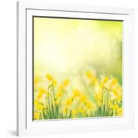 Spring Growing Daffodils in Garden-neirfy-Framed Art Print