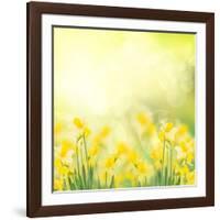 Spring Growing Daffodils in Garden-neirfy-Framed Art Print