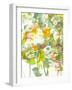 Spring has Sprung II-Jodi Fuchs-Framed Art Print