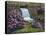 Spring Has Sprung-Bruce Dumas-Stretched Canvas