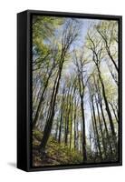 Spring heaven in the Teutoburg Forest-Nadja Jacke-Framed Stretched Canvas