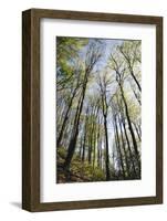 Spring heaven in the Teutoburg Forest-Nadja Jacke-Framed Photographic Print