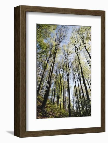 Spring heaven in the Teutoburg Forest-Nadja Jacke-Framed Photographic Print