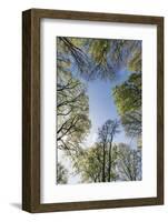 Spring heaven in the Teutoburg Forest-Nadja Jacke-Framed Photographic Print