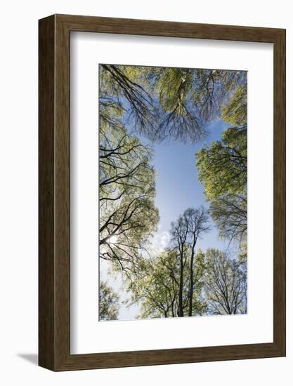 Spring heaven in the Teutoburg Forest-Nadja Jacke-Framed Photographic Print