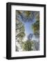 Spring heaven in the Teutoburg Forest-Nadja Jacke-Framed Photographic Print