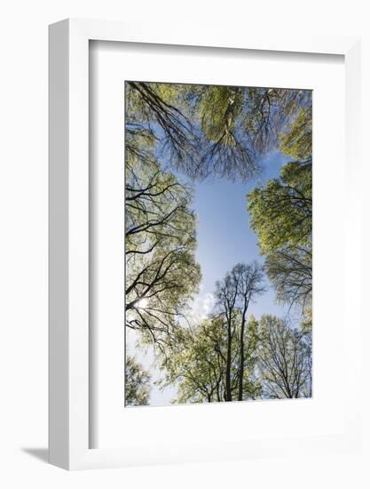 Spring heaven in the Teutoburg Forest-Nadja Jacke-Framed Photographic Print