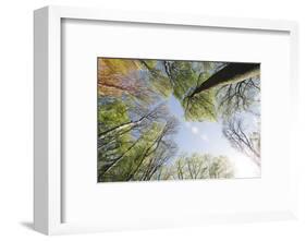 Spring heaven in the Teutoburg Forest-Nadja Jacke-Framed Photographic Print