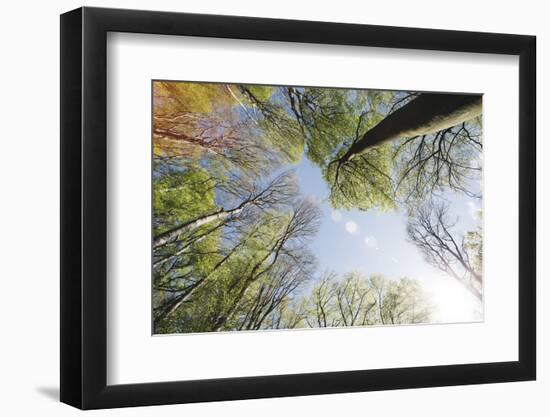 Spring heaven in the Teutoburg Forest-Nadja Jacke-Framed Photographic Print