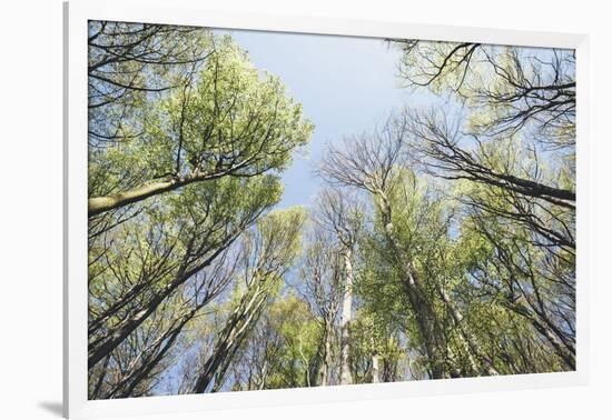 Spring heaven in the Teutoburg Forest-Nadja Jacke-Framed Photographic Print