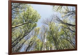 Spring heaven in the Teutoburg Forest-Nadja Jacke-Framed Photographic Print