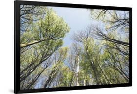 Spring heaven in the Teutoburg Forest-Nadja Jacke-Framed Photographic Print