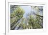 Spring heaven in the Teutoburg Forest-Nadja Jacke-Framed Photographic Print