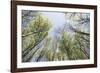 Spring heaven in the Teutoburg Forest-Nadja Jacke-Framed Photographic Print