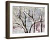 Spring Hiatus-Jodi Maas-Framed Giclee Print