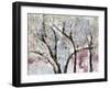 Spring Hiatus-Jodi Maas-Framed Giclee Print