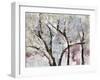 Spring Hiatus-Jodi Maas-Framed Giclee Print