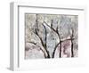 Spring Hiatus-Jodi Maas-Framed Giclee Print