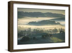 Spring Hills and Morning Fog, Petaluma, California-Vincent James-Framed Premium Photographic Print