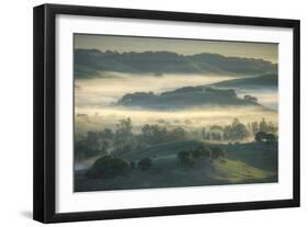 Spring Hills and Morning Fog, Petaluma, California-Vincent James-Framed Premium Photographic Print