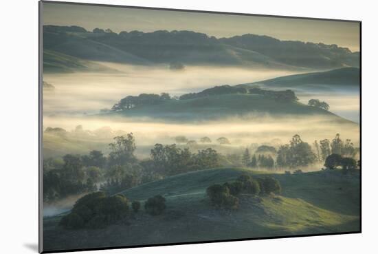 Spring Hills and Morning Fog, Petaluma, California-Vincent James-Mounted Premium Photographic Print