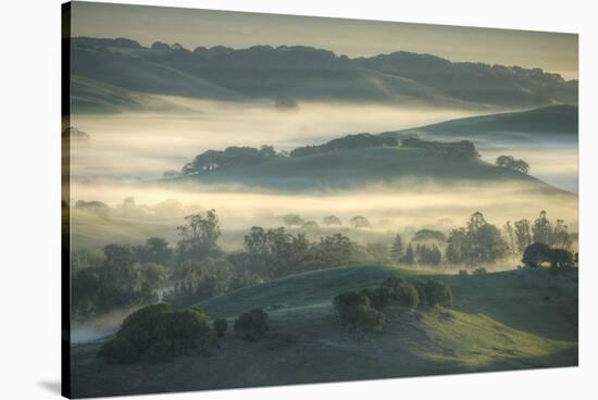 Spring Hills and Morning Fog, Petaluma, California-Vincent James-Stretched Canvas